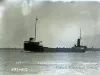 Negative, Glass-plate