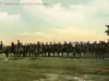 Postcard - Detroit's Mounted Police at Drill, Detroit, Mich.