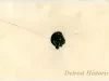 Envelope