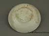 Saucer