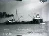 Negative, Glass-plate