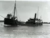 Negative, Glass-plate