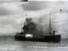 Negative, Glass-plate