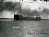 Negative, Glass-plate