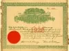 License, Occupational