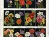 Catalog - 1930 Annual
