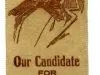 Ribbon, Political