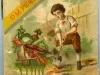 Catalog - 1881 Seed Annual