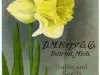 Catalog - Bulbs & Seeds Autumn 1916