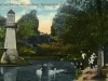 Postcard - Feeding the Swans, Palmer Park, Detroit, Mich.
