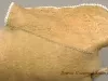 Moccasin