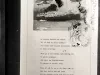 Negative, Glass-plate