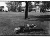 Print, Photographic - Man Sleeping in Front of Casino