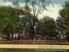 Postcard - In Detroit Life is Worth Living