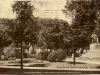 Postcard - Pingree Monument, At West Grand Circus Park, Detroit, Mich.