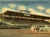 Postcard - Action at hazel Park, "The Friendly Track," located just 10 miles from the heart of Detroit.