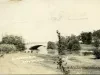 Postcard - Elizabeth Park, Trenton, Mich.