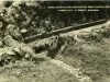 Postcard - Model Railway Lines Crossing Dry-Creek Canyon Trestles, "Midget City," at Detroit, Mich.