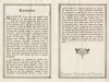 Program