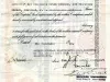 Certificate, Stock - Detroit and Cleveland Navigation Company