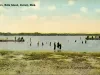 Postcard - Bathers, Belle Isle, Detroit, Mich.