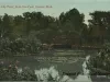 Postcard - The Lily Pond, Belle Isle Park, Detroit, Mich.