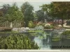 Postcard - The Lily Pond, Belle Isle, Detroit, Mich.