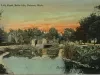 Postcard - Lily Pond, Belle Isle, Detroit, Mich.