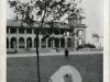Postcard - G.A.R. Tree. Planted on Belle Isle, Detroit, Mich. Nov. 26th 1908. Casino in Background.