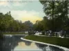 Postcard - Swans in the Zoo, Belle Isle Park, Detroit, Mich.
