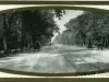 Postcard - Jefferson Ave., Looking East, Detroit, Mich