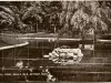 Postcard - Seal Pond, Belle Isle, Detroit, Mich.