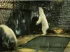 Postcard - Polar Bears, Belle Isle, Detroit, Mich.
