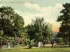 Postcard - A Rustic View in Belle Isle Park, Detroit, Mich.