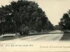 Postcard - Drive, Belle Isle Park, Detroit, Mich.