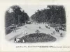 Postcard - Central Ave., Belle Isle Park, Detroit, Mich.