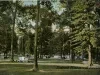Postcard - Detroit, Mich, Under the Oaks in Autumn, Belle Isle.