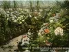 Postcard - Interior of Horticultural Building, Belle Isle, Detroit, Mich.