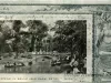Postcard - Scene in Belle Isle Park, Detroit, Mich.