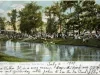 Postcard - Detroit, Mich. Concert Day, Belle Isle Park.