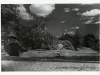 Print, Photographic - Beauty Spot