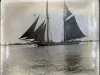 Negative, Glass-plate