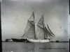 Negative, Glass-plate