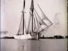 Negative, Glass-plate