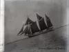 Negative, Glass-plate