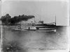 Negative, Glass-plate