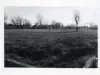 Print, Photographic - 2400 Block Selden and 3900 Block 16th, Detroit, Mi