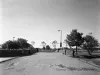 Negative, Film