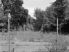 Negative, Film