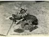Print, Photographic - Emergency Valve Parts